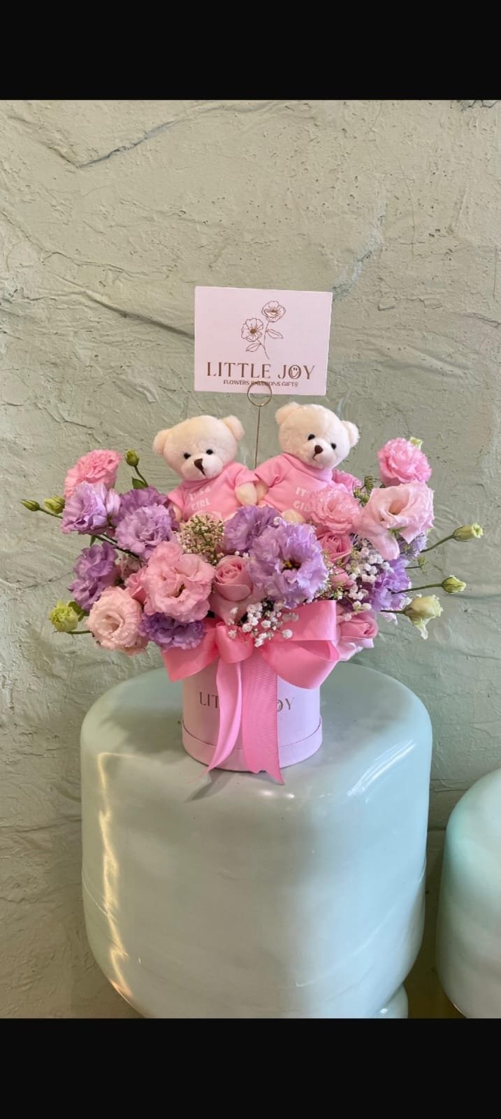 Twins Bear Box